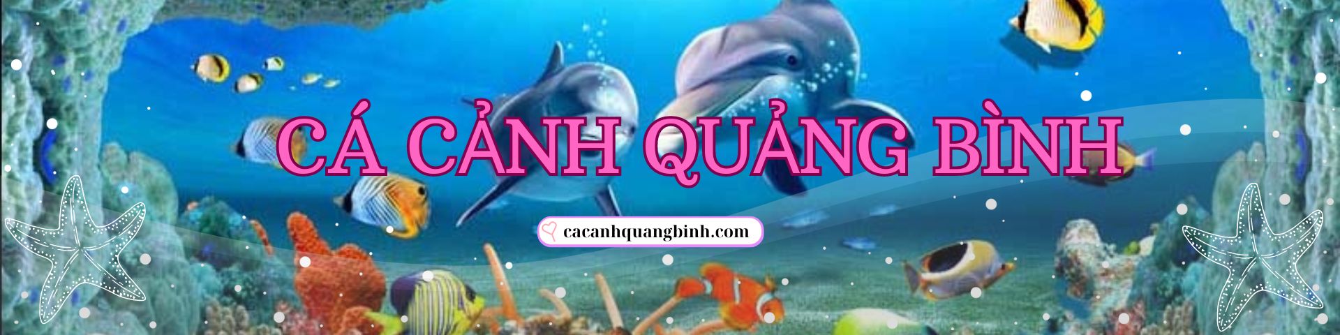 CA CANH QUANG BINH 3